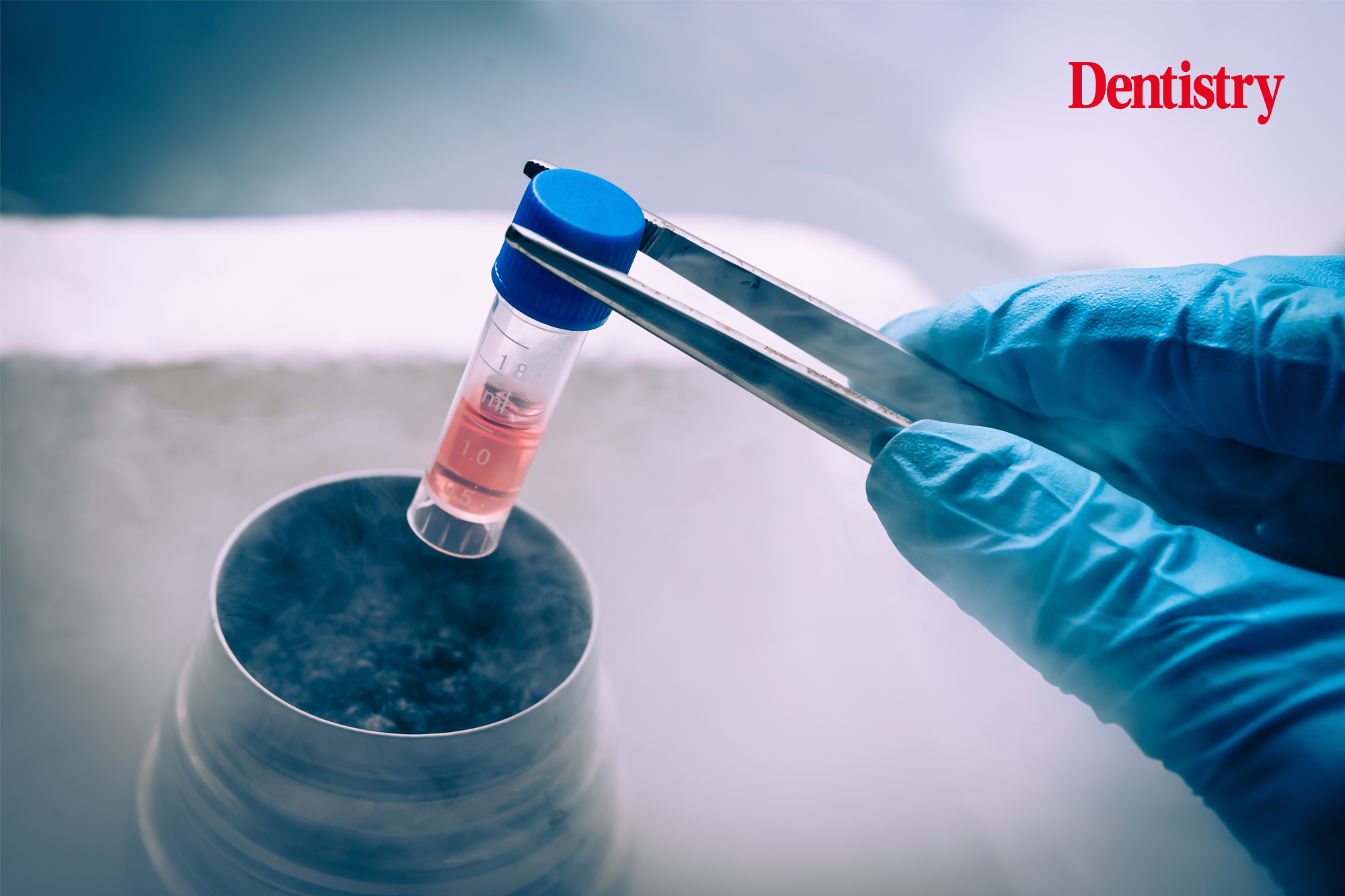 stem cells
