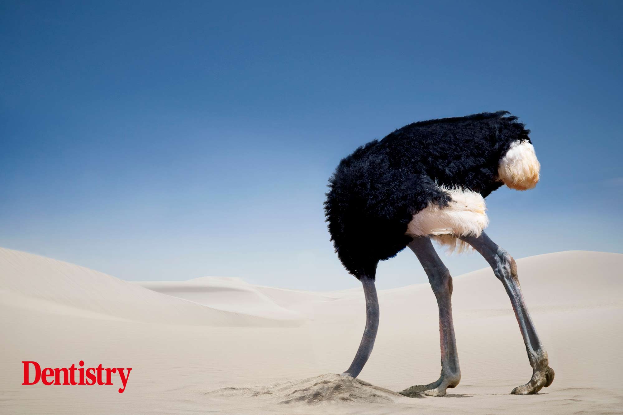head in the sand leading a team
