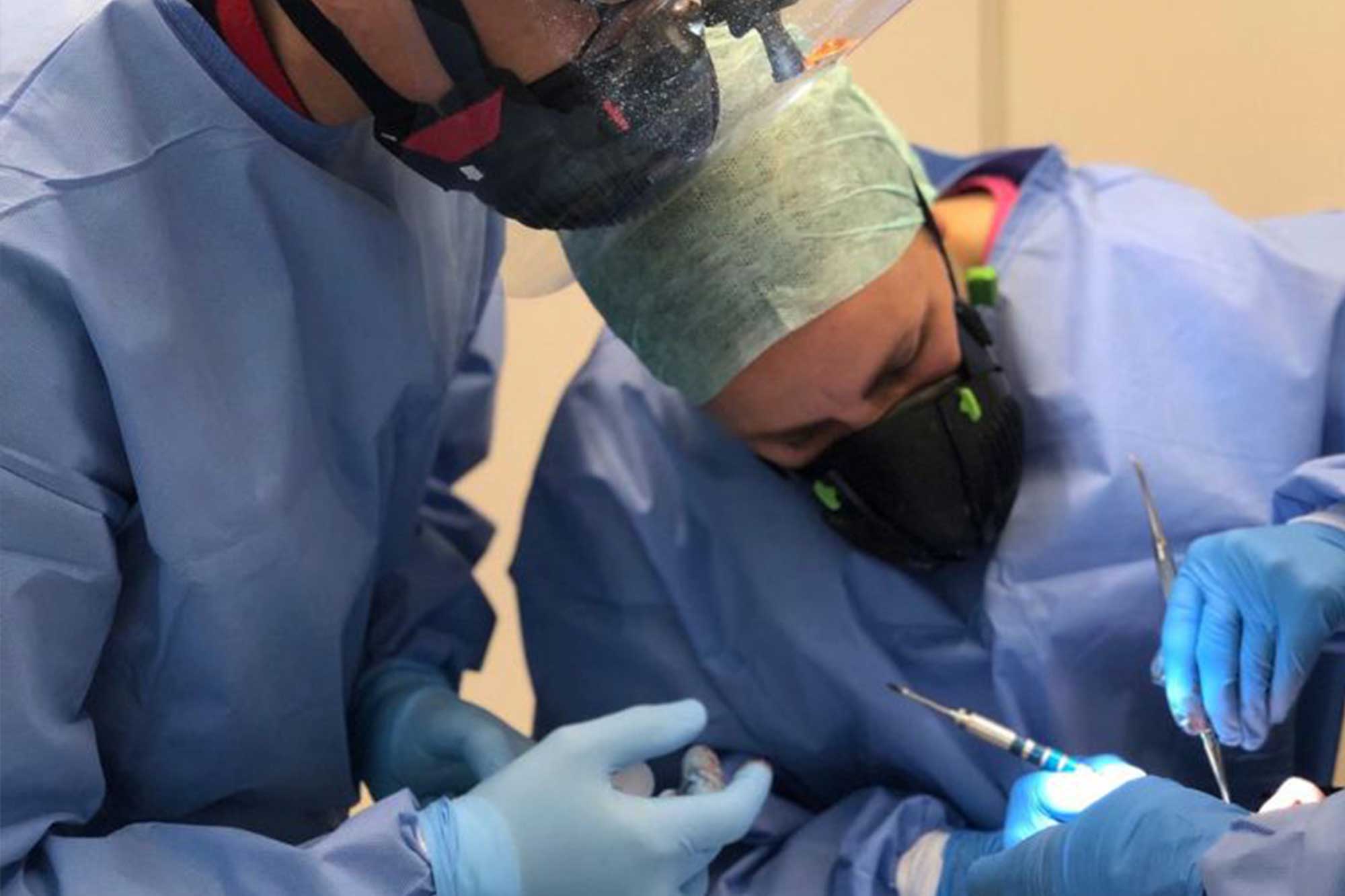 dental referral services