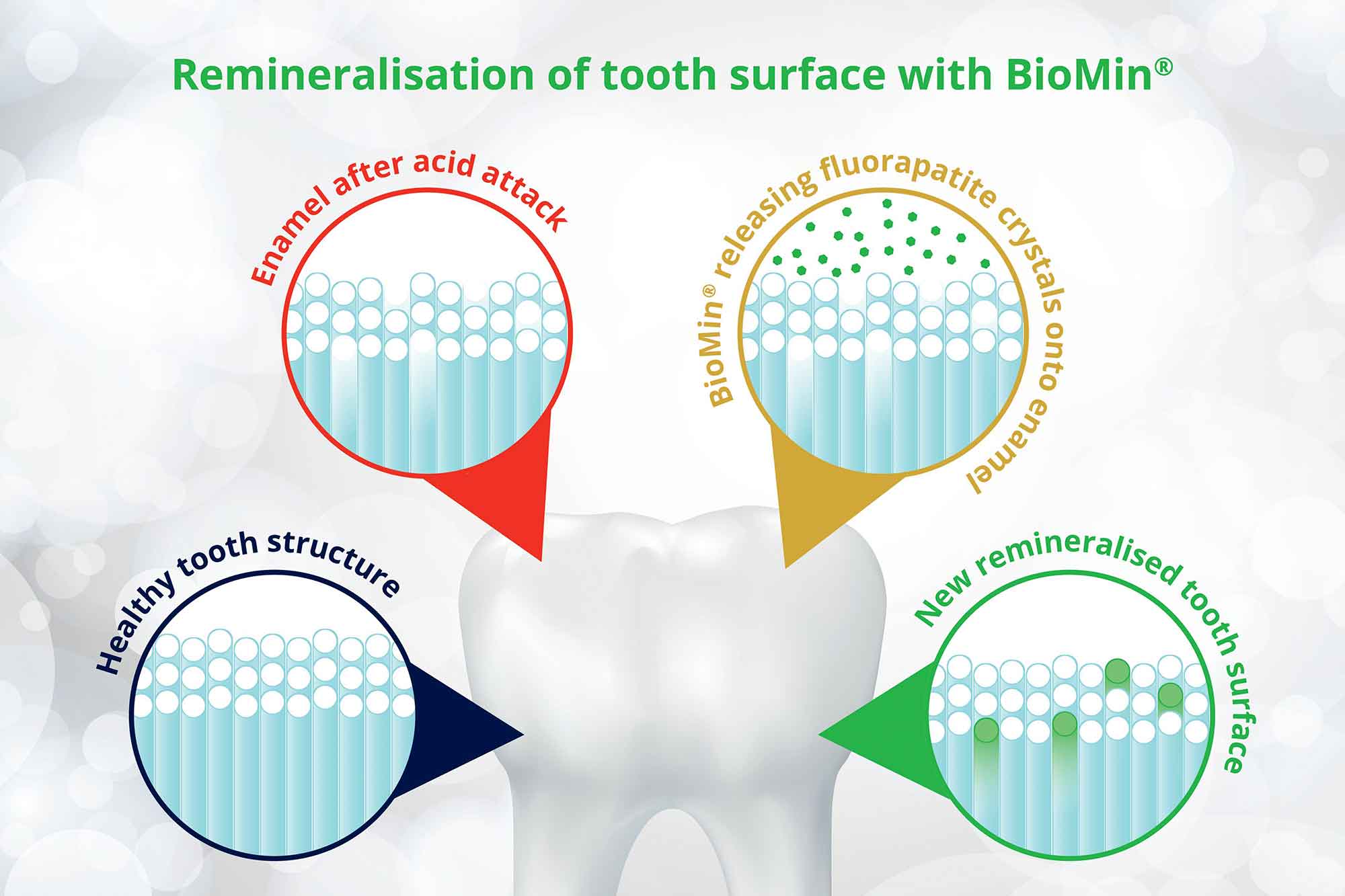 Biomin F