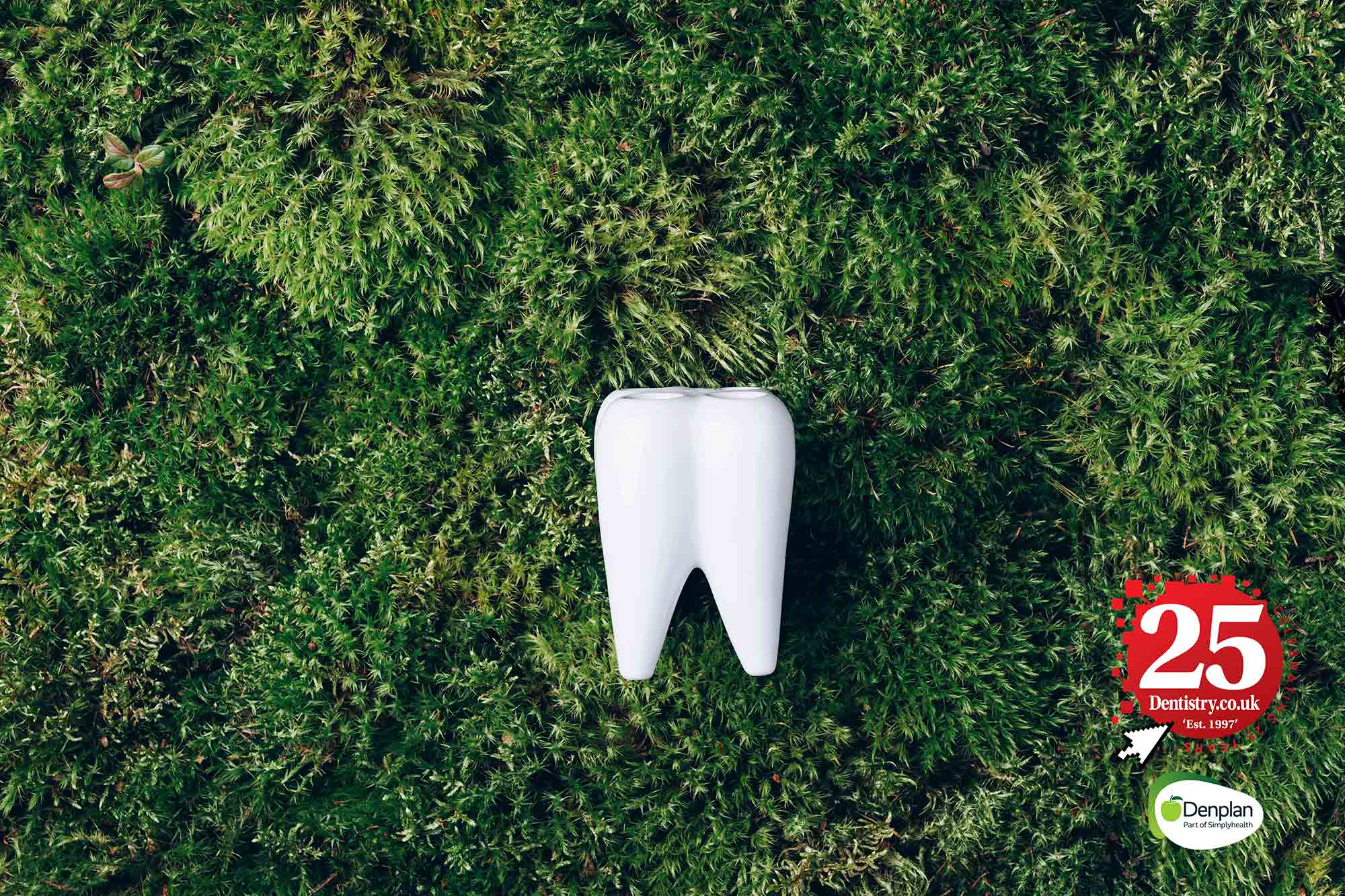 lottie manahan is dentistry a green industry