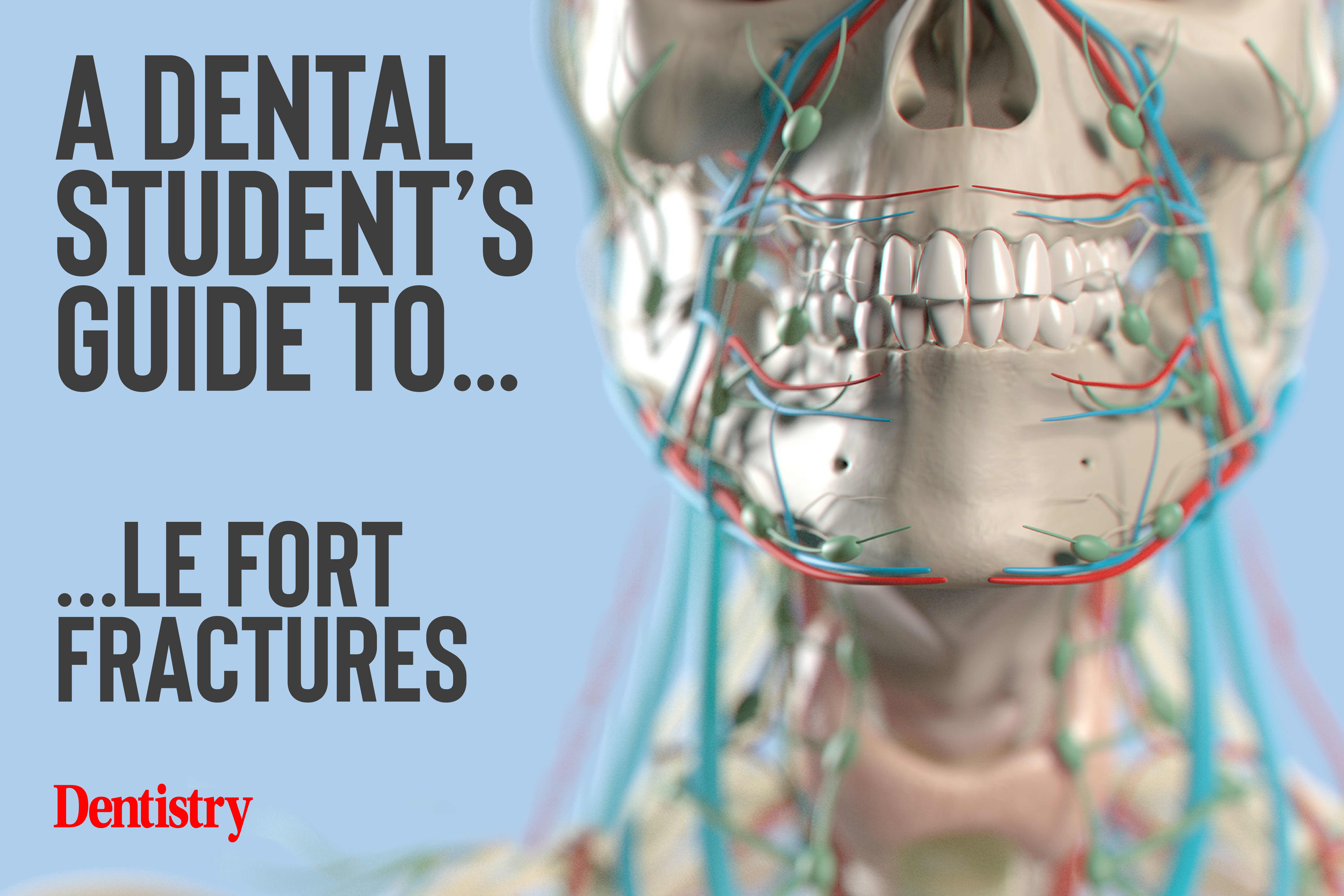 This month, Hannah Hook explores Le Fort fractures, including classifying each one and the best treatment option for the patient.