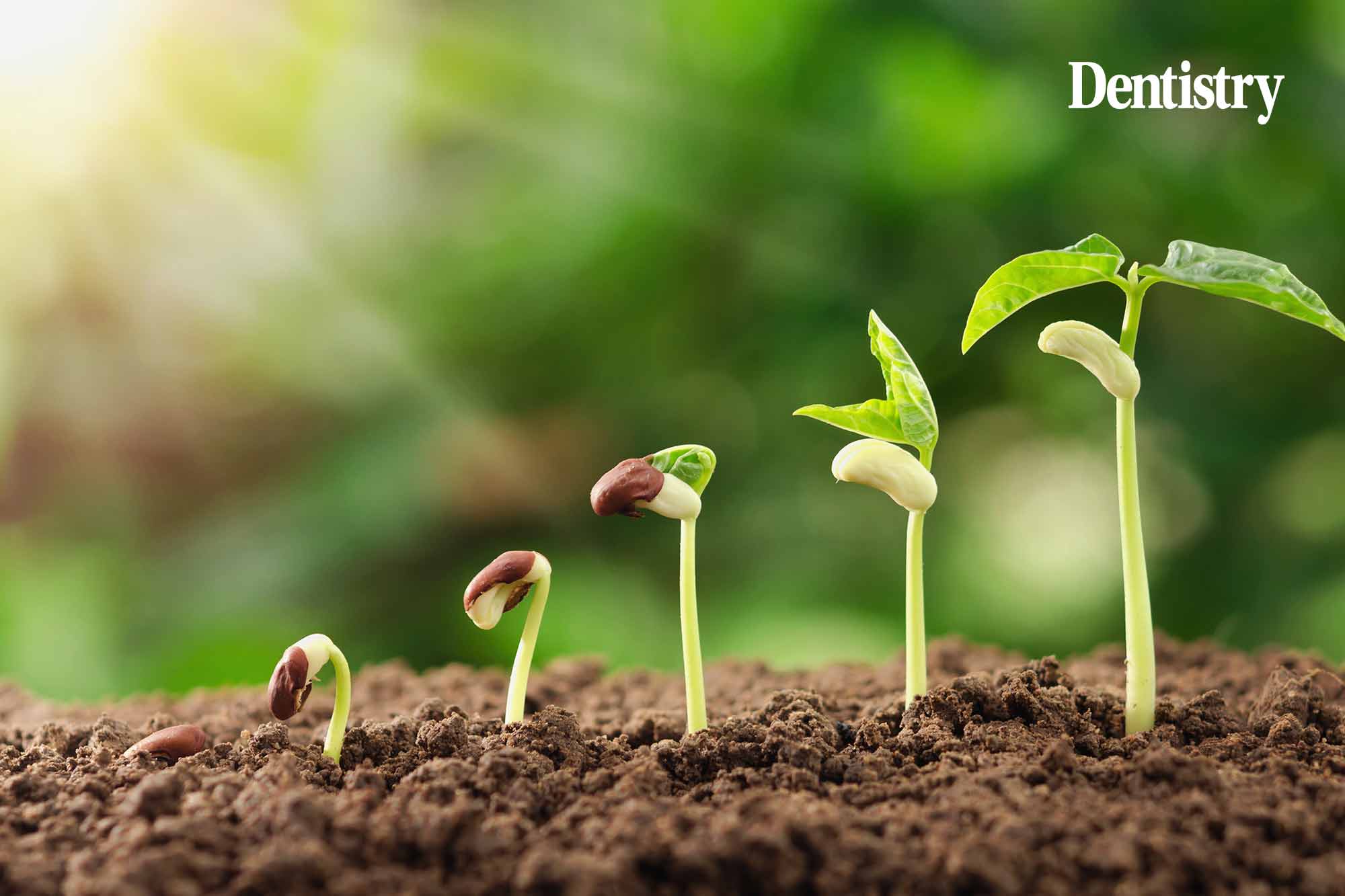 Digital dentistry drives our practice growth